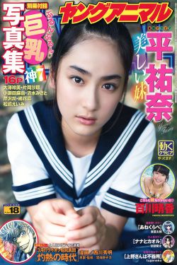 延禧攻略